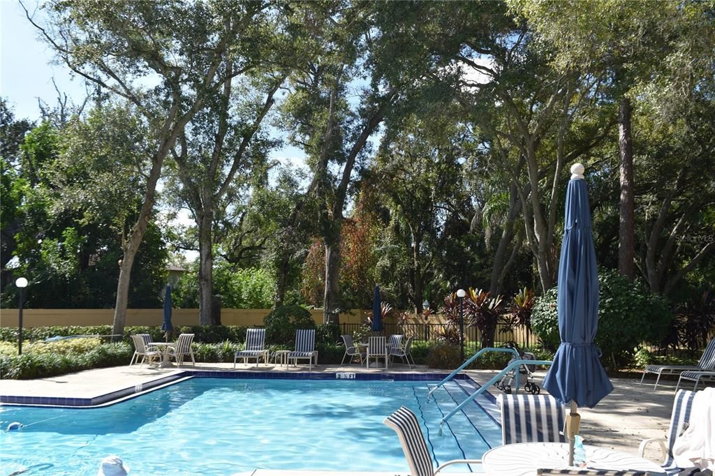 待售: $185,000 (1 贝兹, 1 浴室, 920 平方英尺)