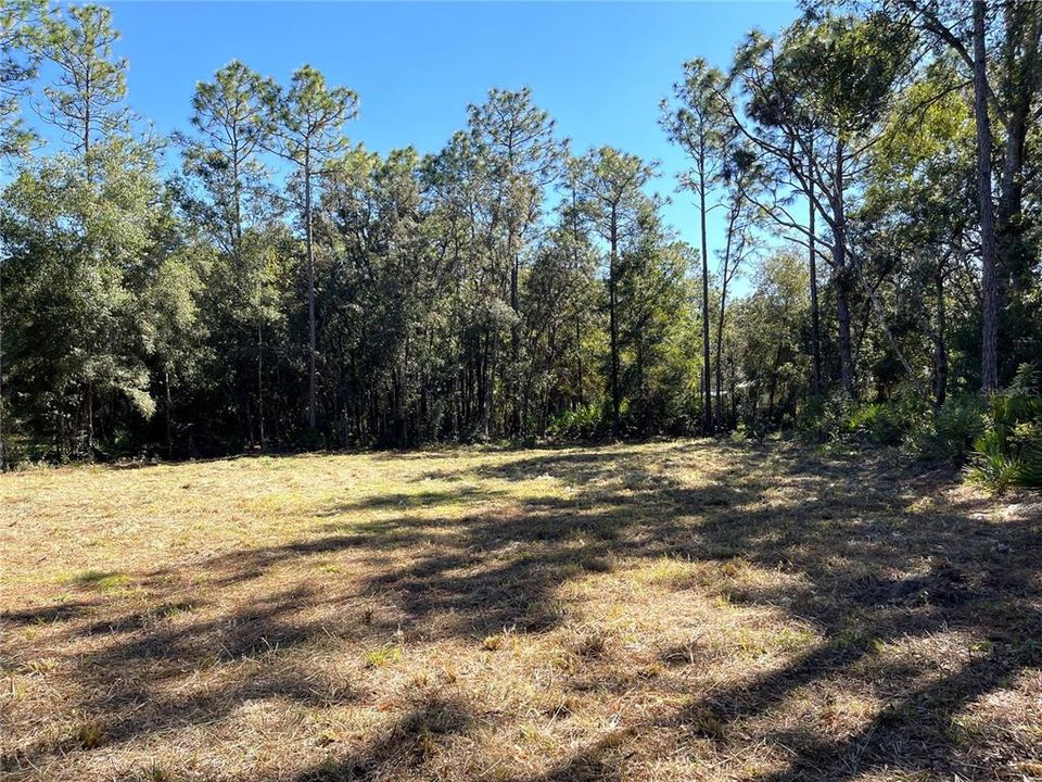 待售: $50,000 (0.50 acres)