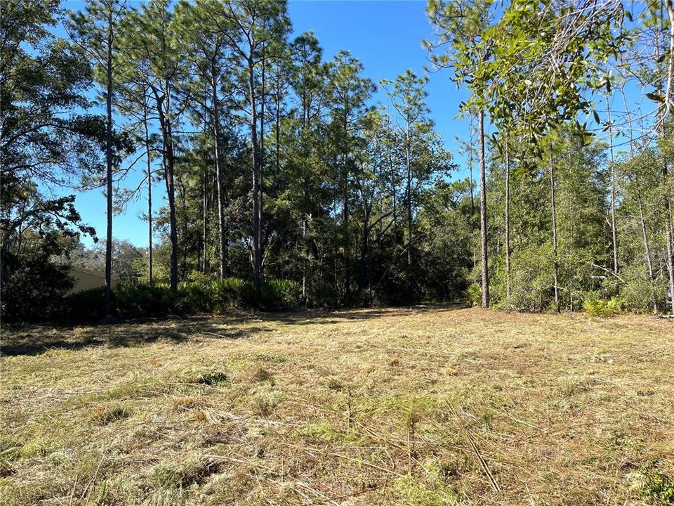 待售: $50,000 (0.50 acres)