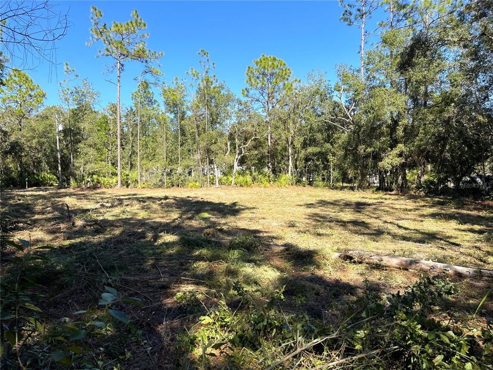 待售: $50,000 (0.50 acres)