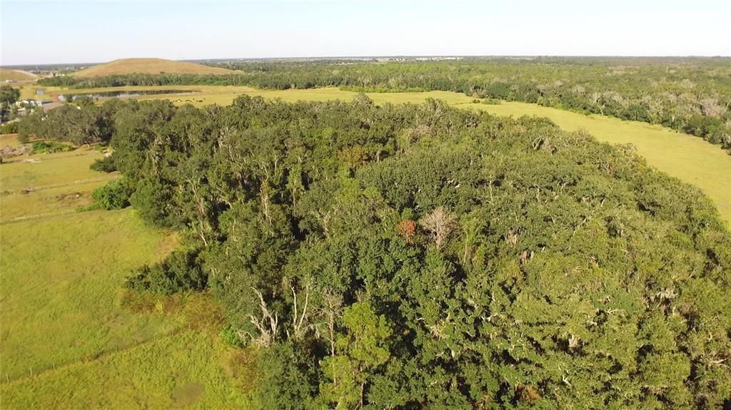 Под контрактом: $380,000 (3 спален, 2 ванн, 2140 Квадратных фут)