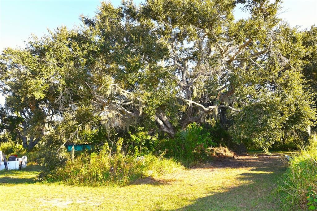 Под контрактом: $380,000 (3 спален, 2 ванн, 2140 Квадратных фут)