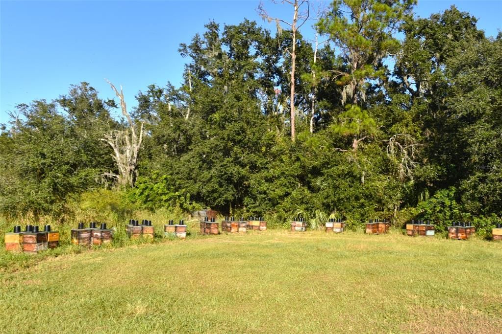 Под контрактом: $380,000 (3 спален, 2 ванн, 2140 Квадратных фут)