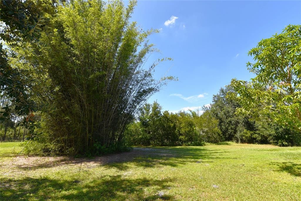 Под контрактом: $380,000 (3 спален, 2 ванн, 2140 Квадратных фут)