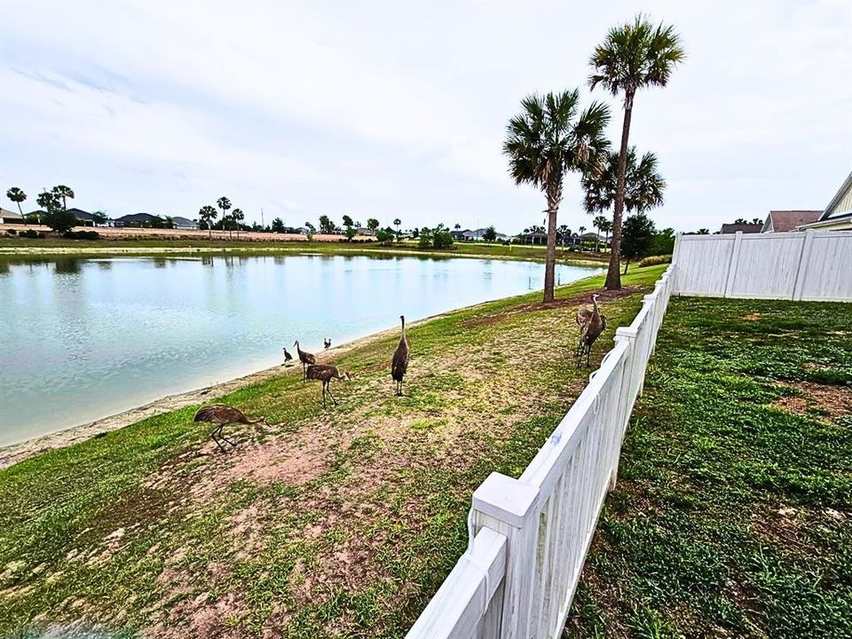 For Sale: $729,900 (3 beds, 2 baths, 1922 Square Feet)