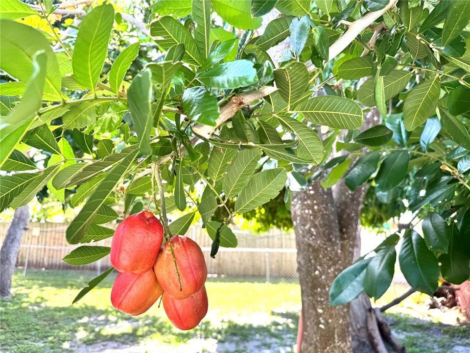 待售: $464,000 (4 贝兹, 3 浴室, 1677 平方英尺)