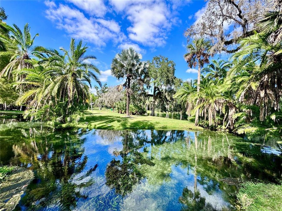 Activo con contrato: $465,000 (2 camas, 2 baños, 1816 Pies cuadrados)