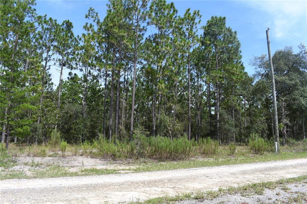 For Sale: $8,500 (0.25 acres)
