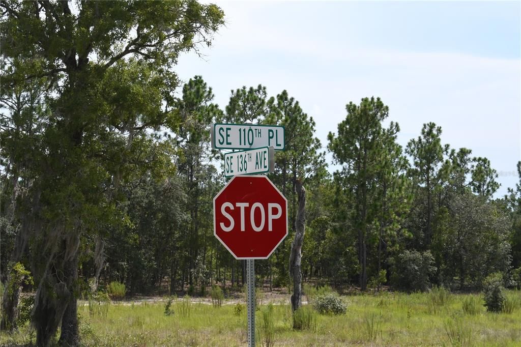 For Sale: $8,500 (0.25 acres)