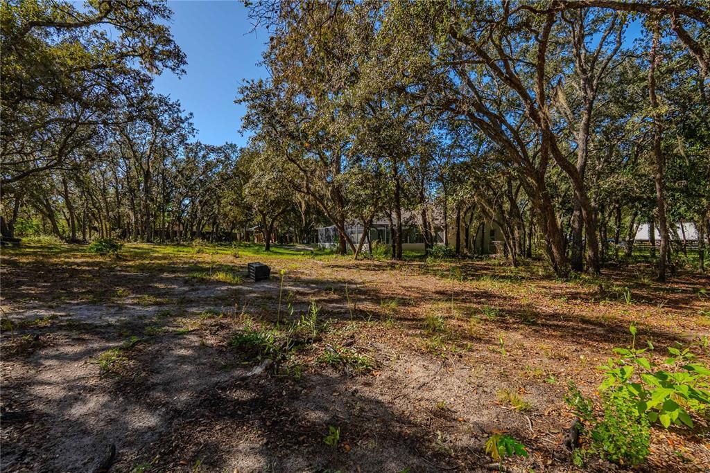 待售: $515,000 (3 贝兹, 2 浴室, 1705 平方英尺)