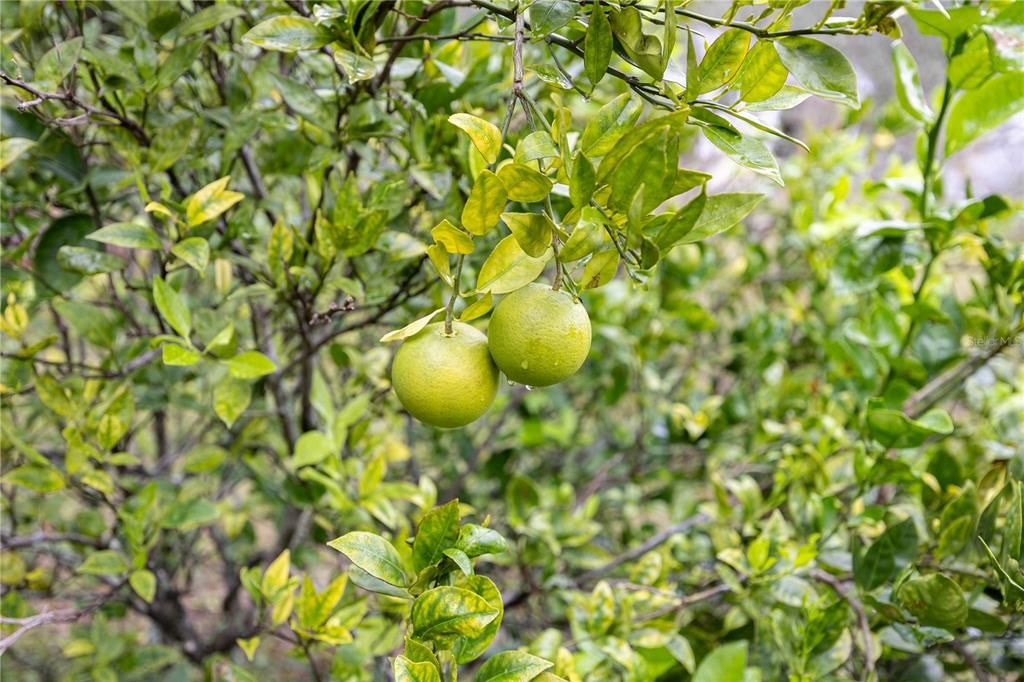 На продажу: $199,000 (2 спален, 1 ванн, 884 Квадратных фут)