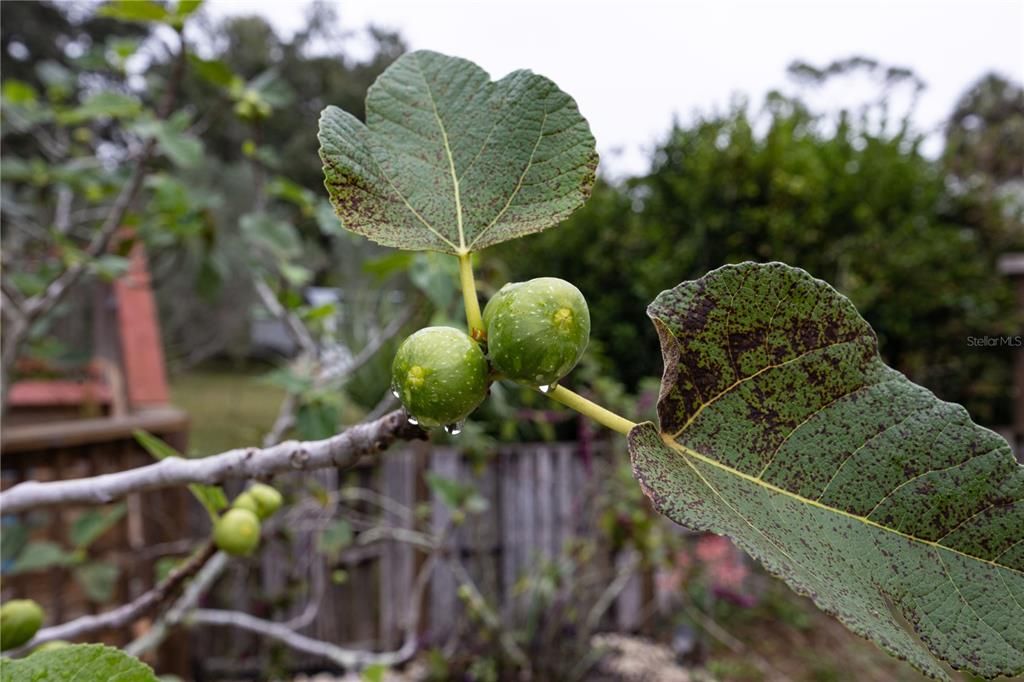 На продажу: $199,000 (2 спален, 1 ванн, 884 Квадратных фут)