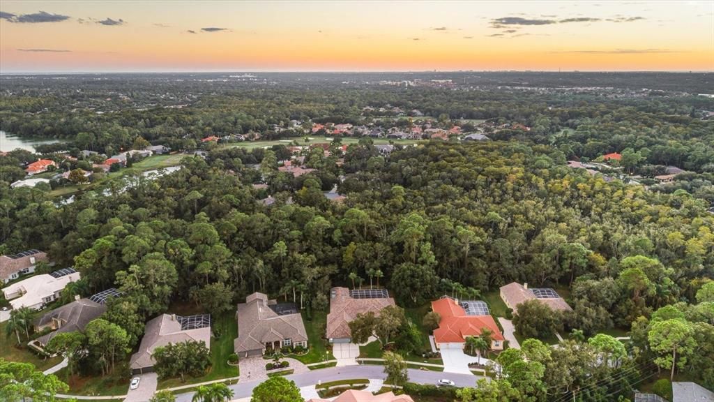 For Sale: $1,425,000 (5 beds, 4 baths, 4144 Square Feet)