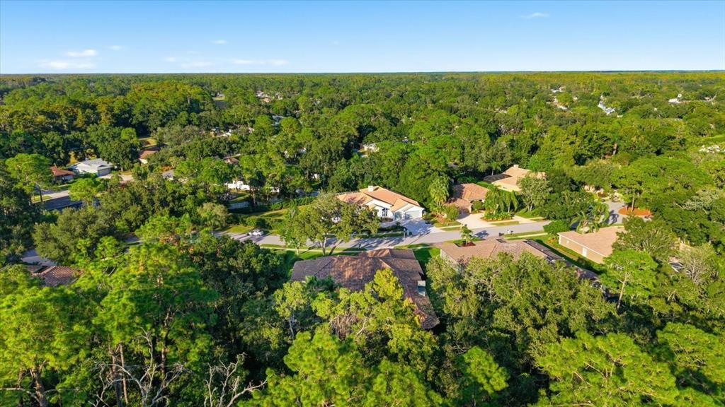 For Sale: $1,425,000 (5 beds, 4 baths, 4144 Square Feet)