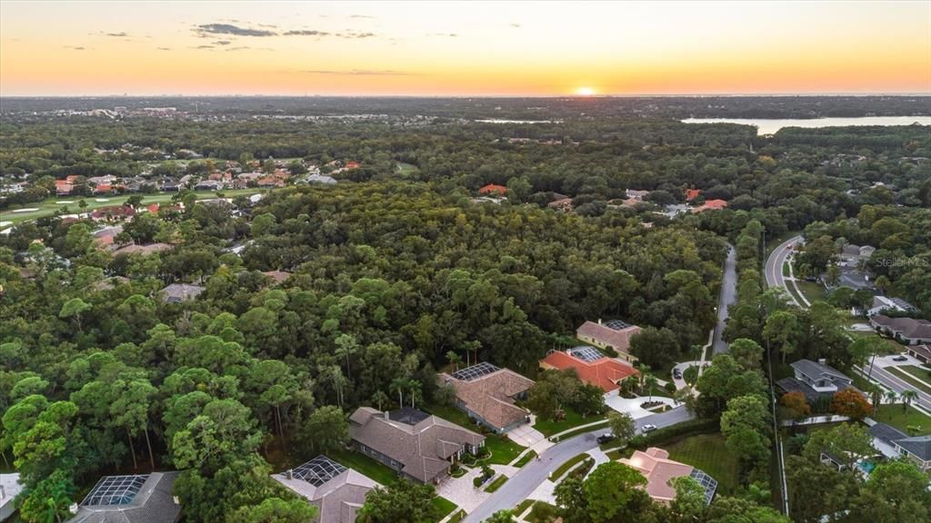 For Sale: $1,425,000 (5 beds, 4 baths, 4144 Square Feet)