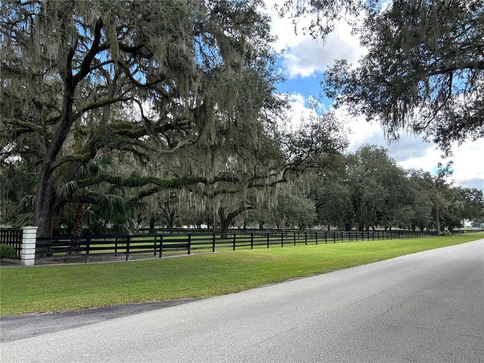 待售: $2,395,000 (3 贝兹, 3 浴室, 2338 平方英尺)