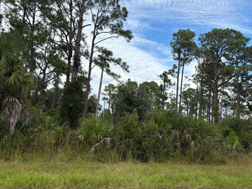 For Sale: $20,000 (0.23 acres)