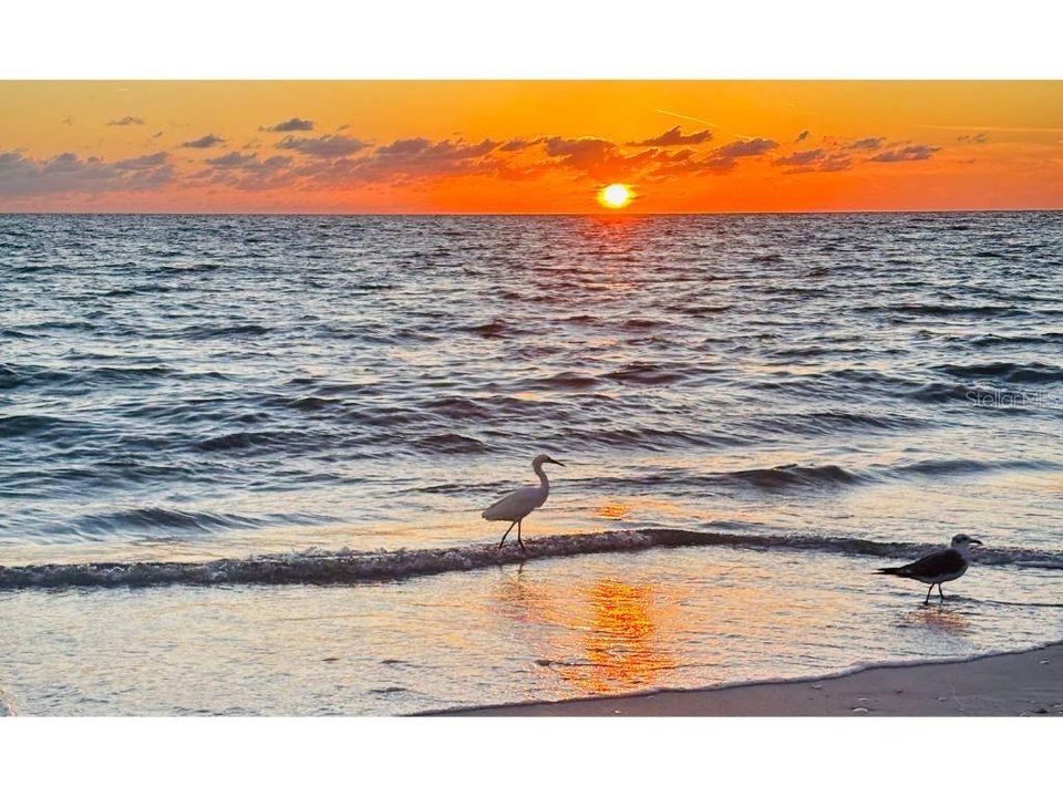 For Sale: $150,000 (0.11 acres)