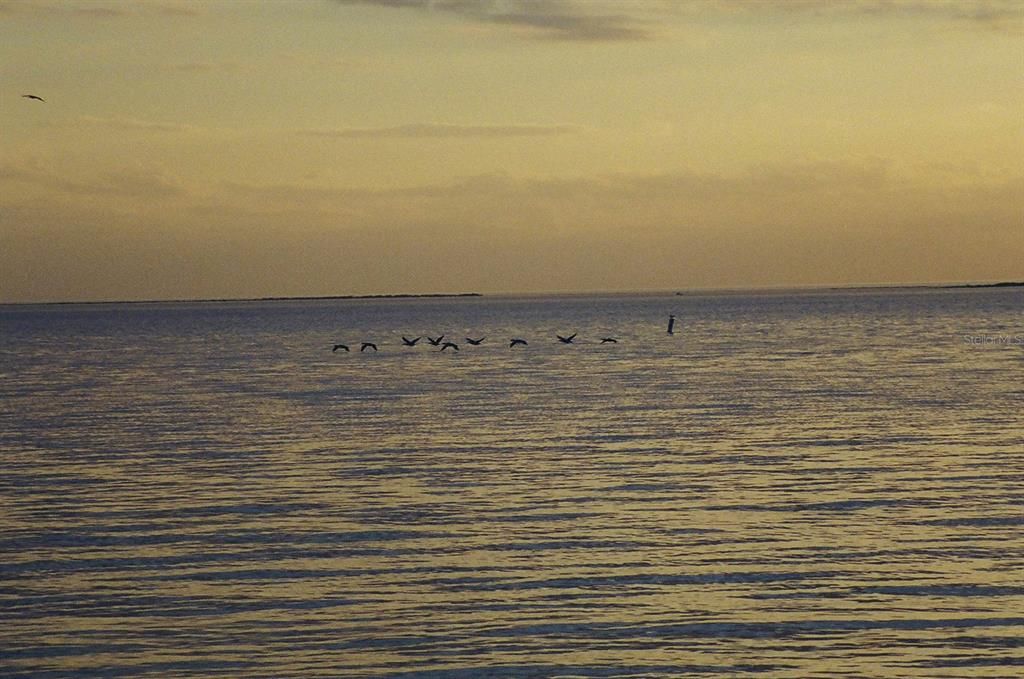 待售: $299,000 (2 贝兹, 2 浴室, 1152 平方英尺)