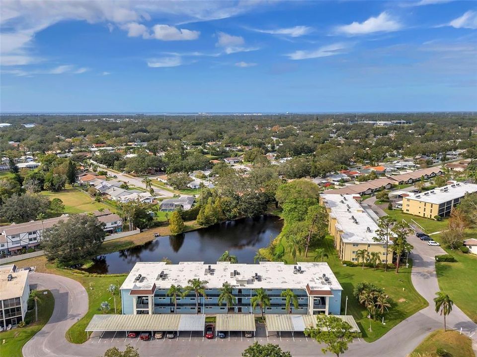 For Rent: $1,600 (1 beds, 1 baths, 915 Square Feet)