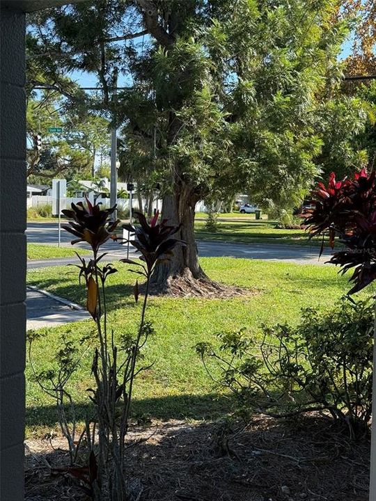 待售: $159,000 (1 贝兹, 1 浴室, 552 平方英尺)