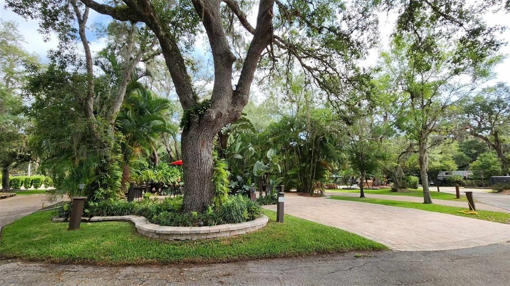 En Venta: $280,000 (0.09 acres)