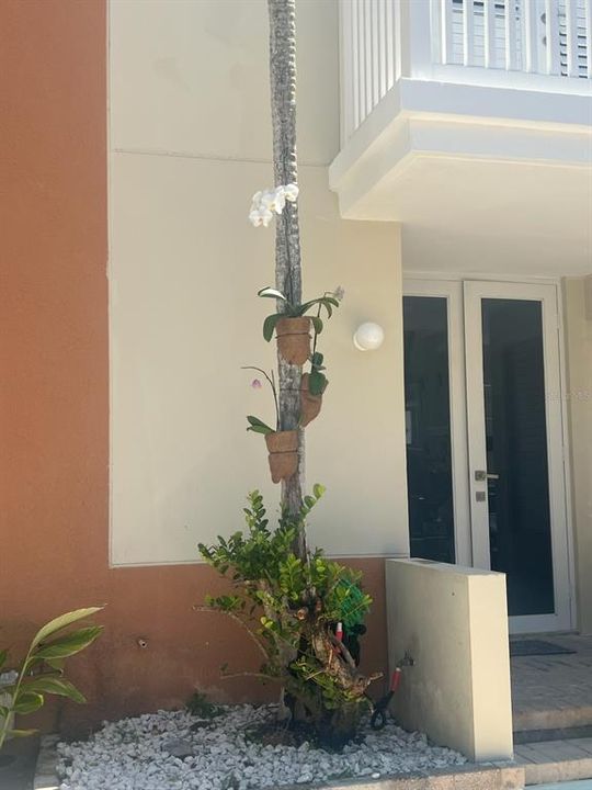 For Rent: $3,450 (3 beds, 3 baths, 3128 Square Feet)