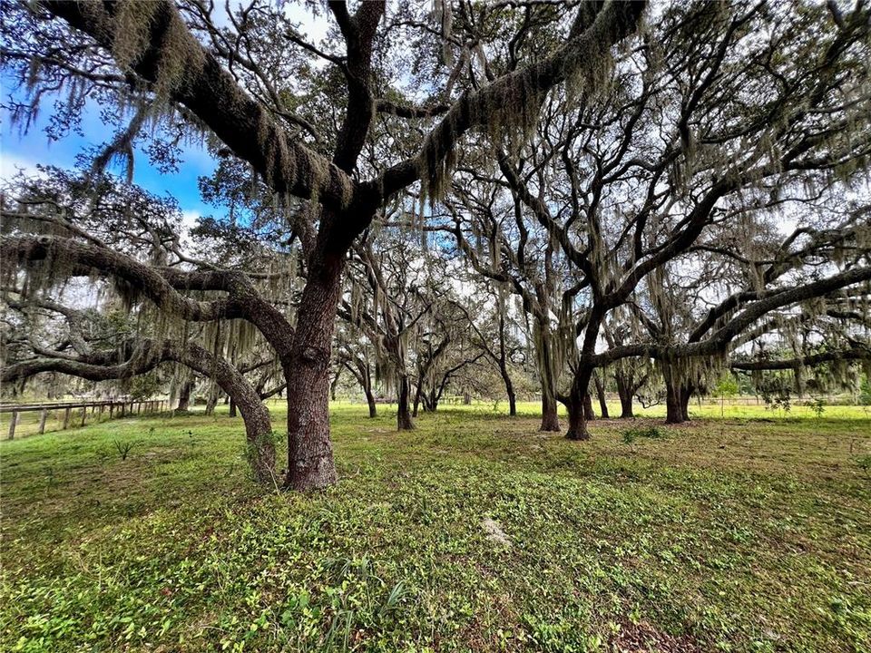 待售: $508,000 (9.85 acres)