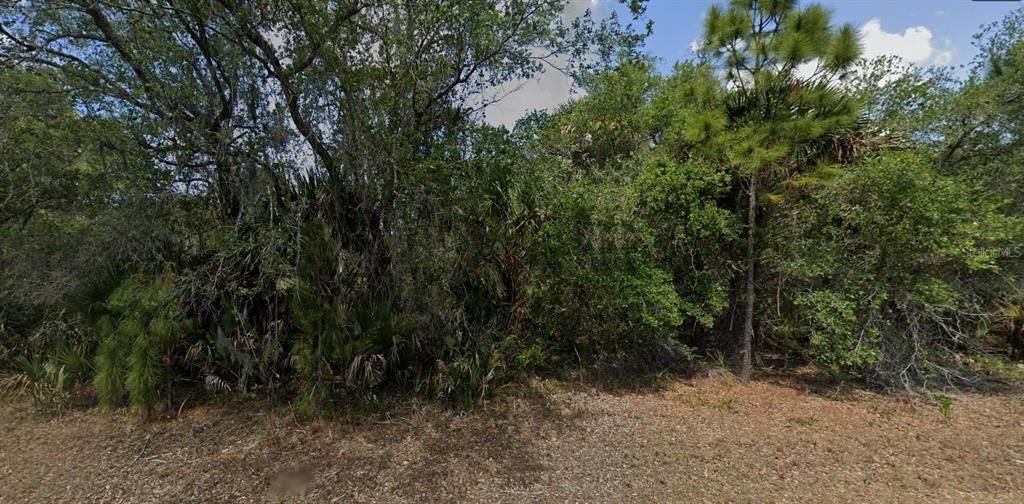 For Sale: $14,995 (0.23 acres)