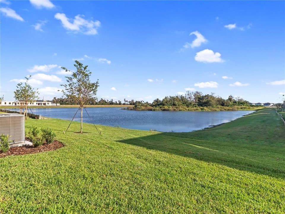 出租: $2,400 (4 贝兹, 2 浴室, 2251 平方英尺)