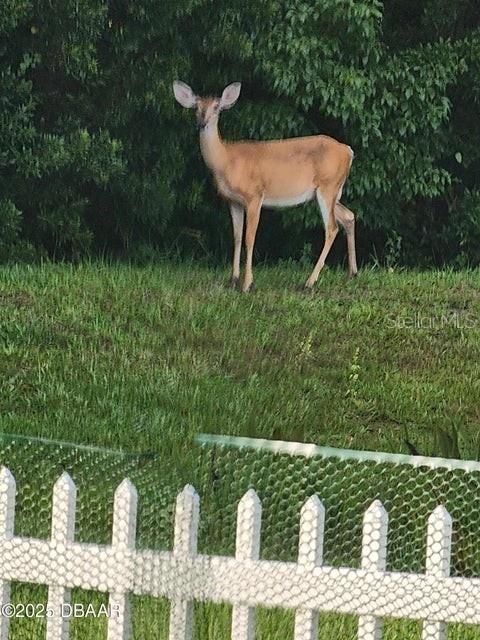 En Venta: $525,000 (3 camas, 2 baños, 2059 Pies cuadrados)