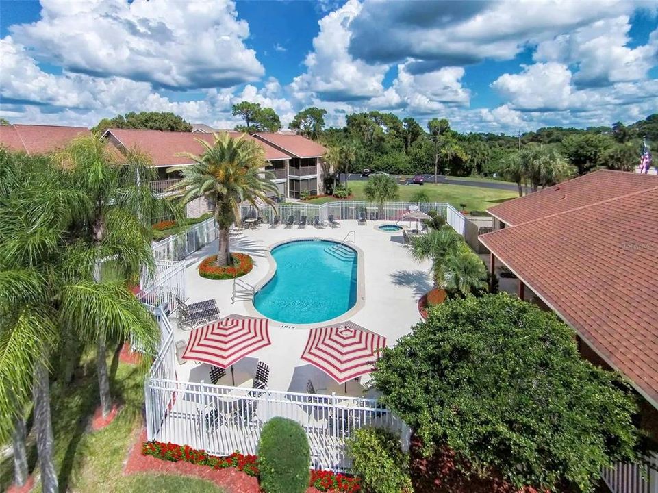 出租: $1,235 (1 贝兹, 1 浴室, 544 平方英尺)