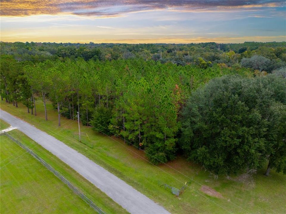 For Sale: $75,000 (3.00 acres)