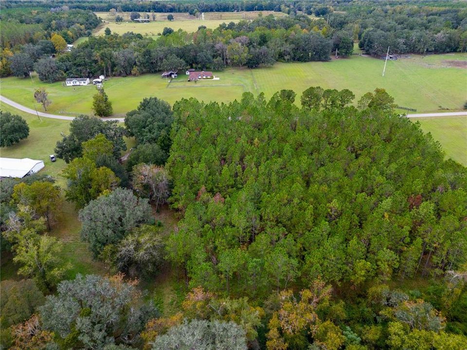 For Sale: $75,000 (3.00 acres)