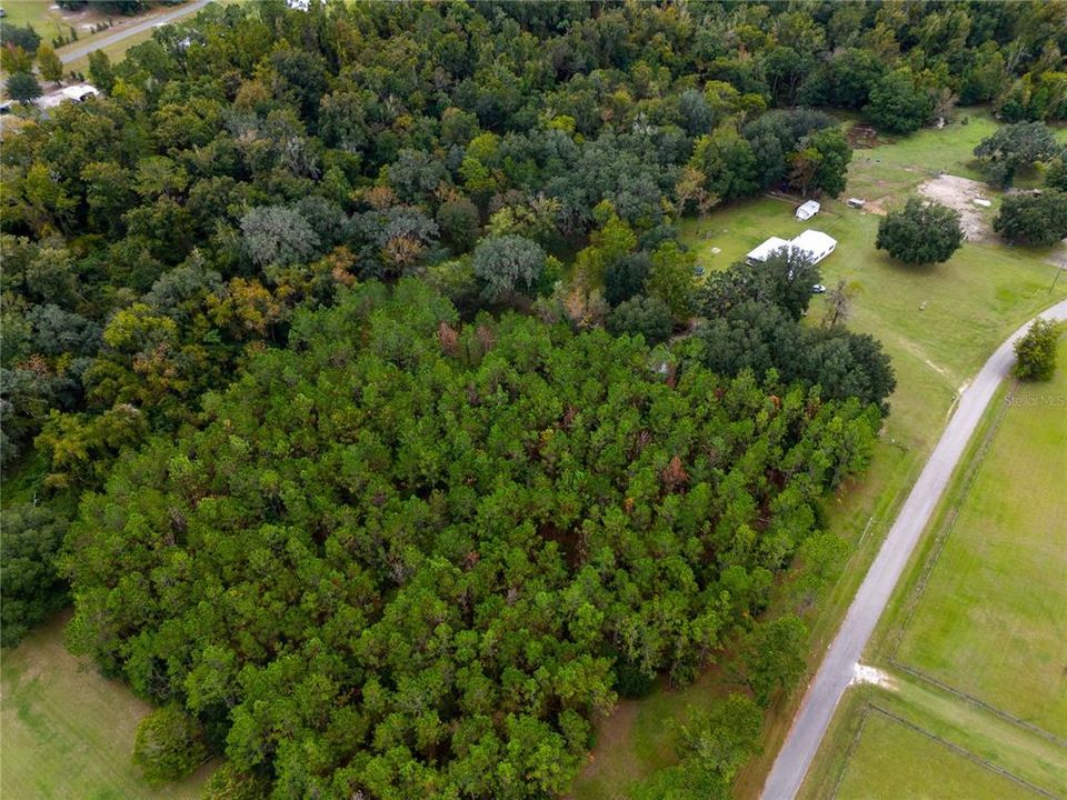 For Sale: $75,000 (3.00 acres)