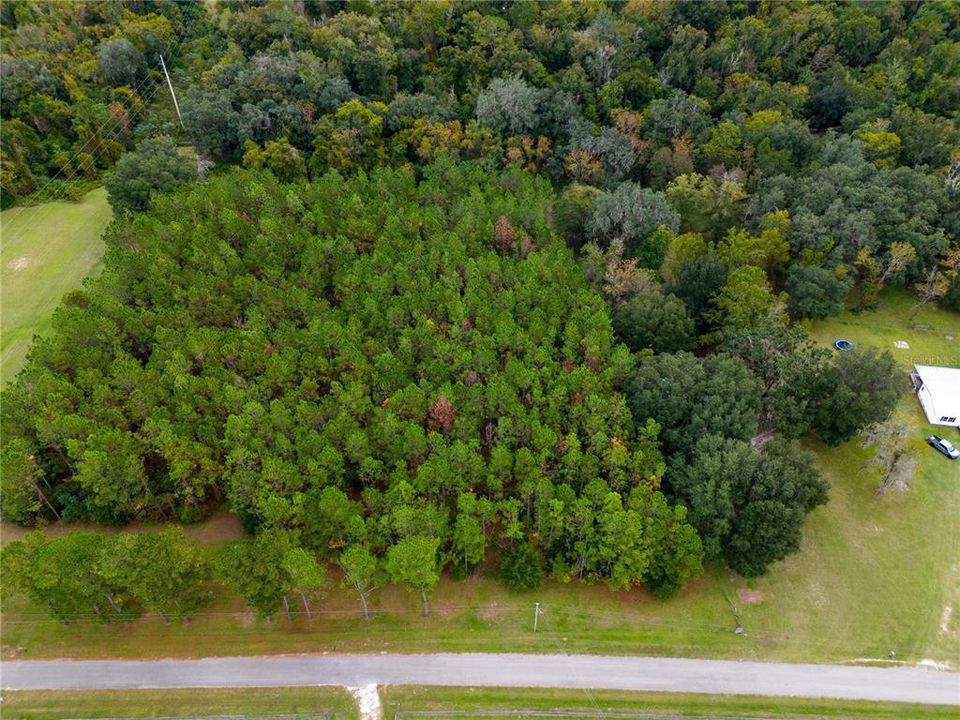 For Sale: $75,000 (3.00 acres)