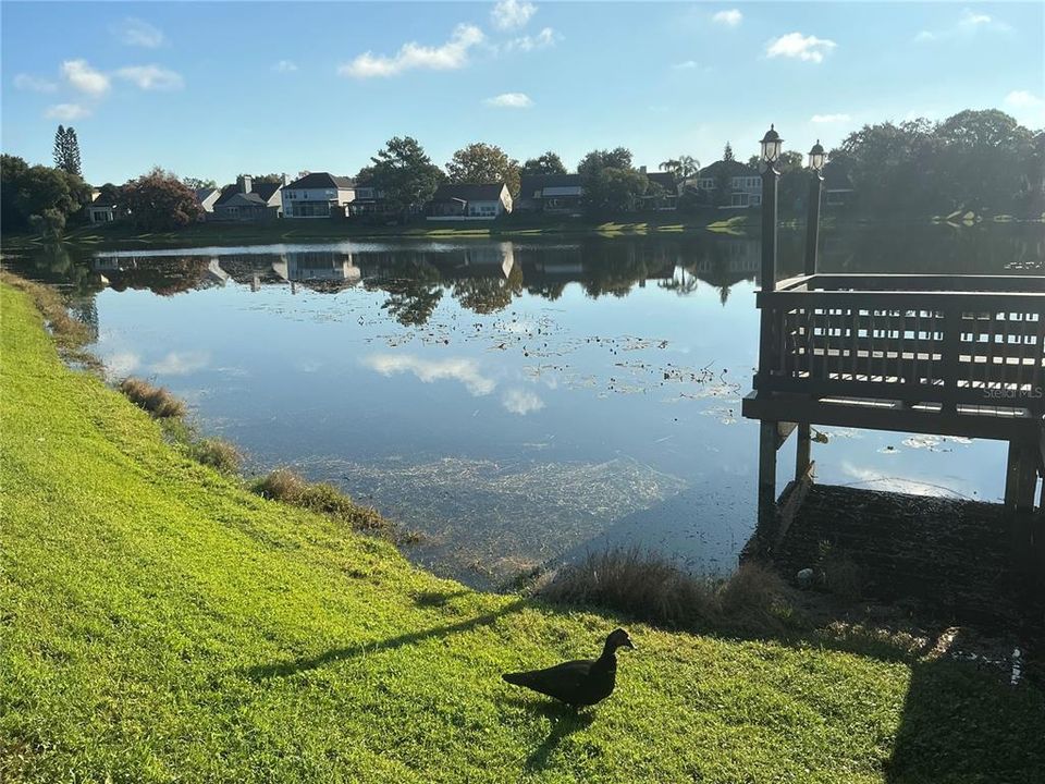 En Venta: $148,500 (2 camas, 1 baños, 851 Pies cuadrados)