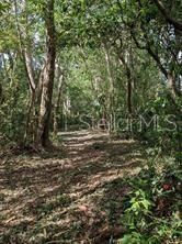 На продажу: $975,000 (11.25 acres)