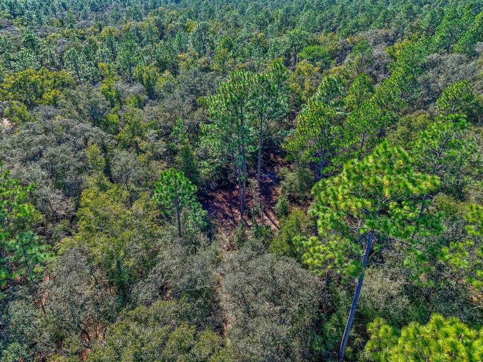 For Sale: $17,500 (0.24 acres)