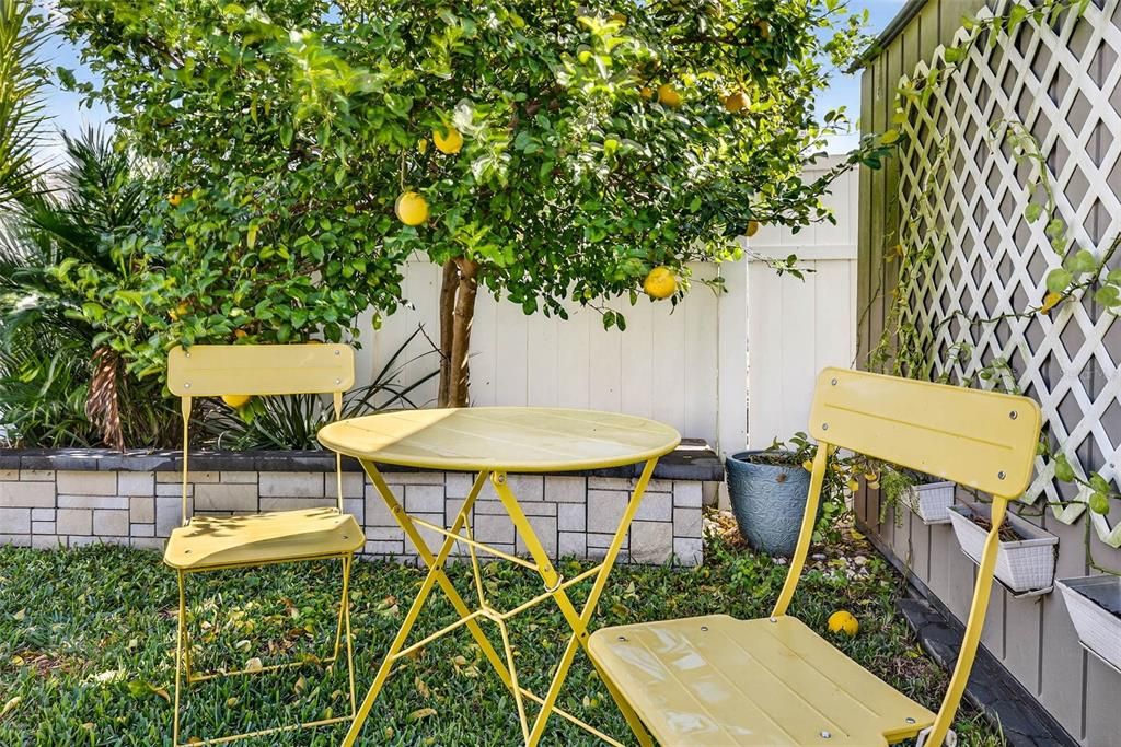 合同活跃: $375,000 (3 贝兹, 2 浴室, 1516 平方英尺)