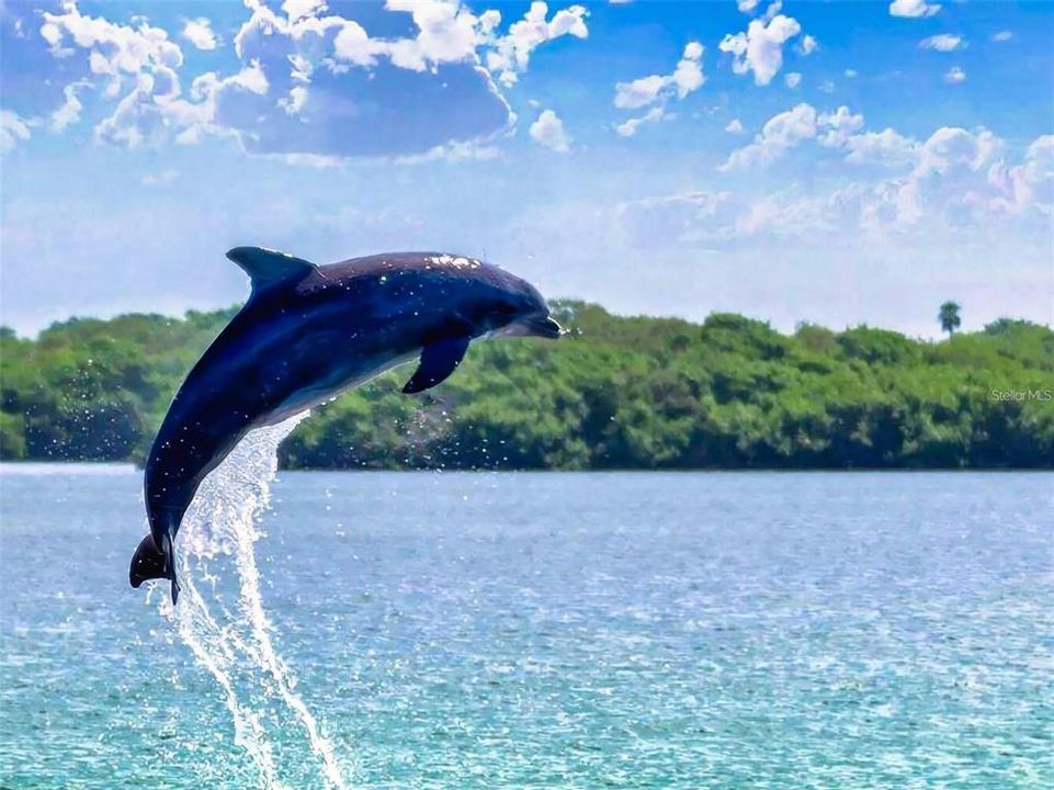 For Rent: $3,900 (3 beds, 2 baths, 1614 Square Feet)