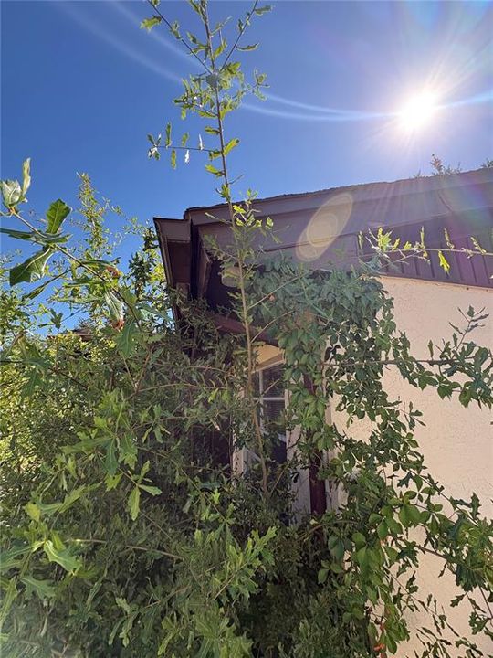 待售: $230,000 (2 贝兹, 2 浴室, 1050 平方英尺)