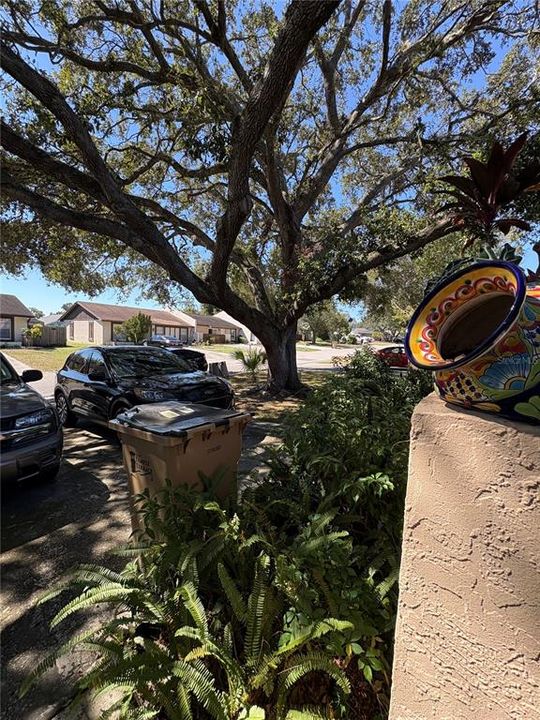 待售: $230,000 (2 贝兹, 2 浴室, 1050 平方英尺)