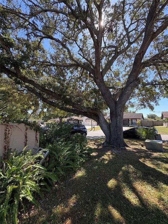 待售: $230,000 (2 贝兹, 2 浴室, 1050 平方英尺)