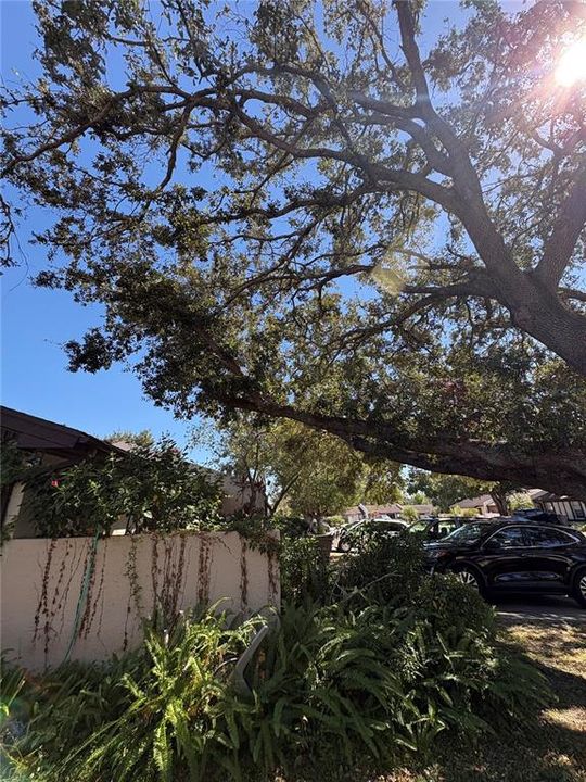 待售: $230,000 (2 贝兹, 2 浴室, 1050 平方英尺)