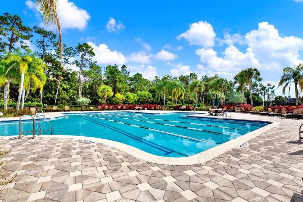 В аренду: $2,450 (3 спален, 2 ванн, 1576 Квадратных фут)