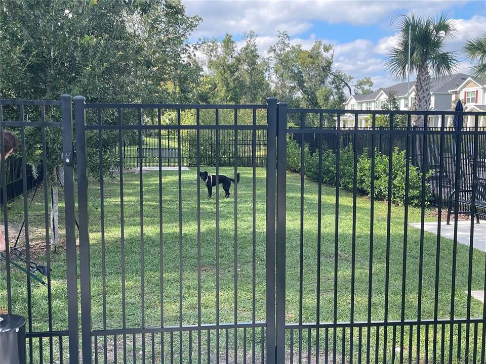 En Renta: $2,500 (4 camas, 2 baños, 1643 Pies cuadrados)