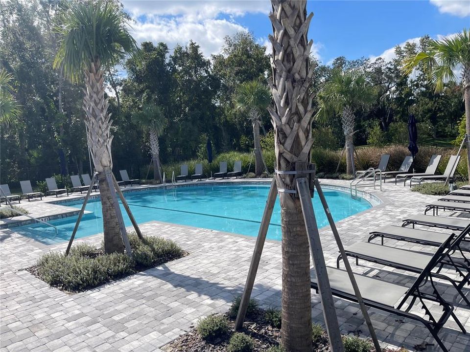 En Renta: $2,500 (4 camas, 2 baños, 1643 Pies cuadrados)