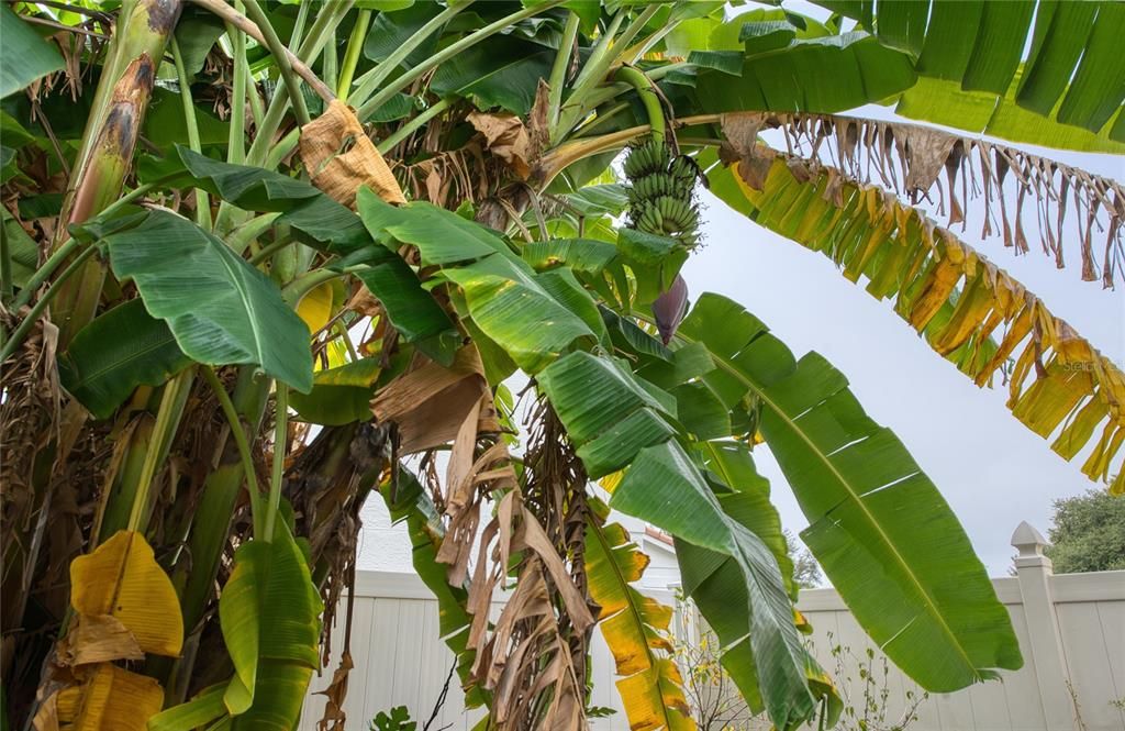 待售: $749,900 (3 贝兹, 2 浴室, 2146 平方英尺)