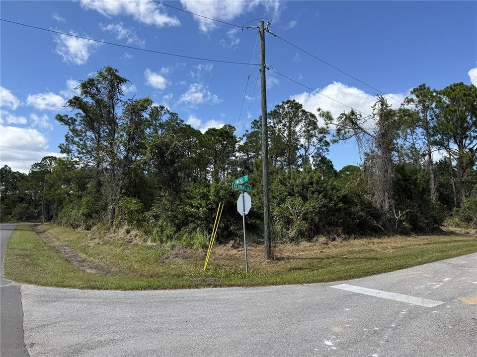 For Sale: $29,900 (0.23 acres)